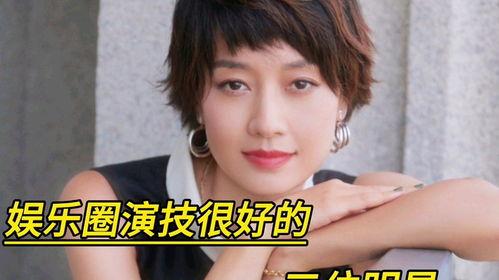 演技(娱乐圈),娱乐圈璀璨星辰的演技对决