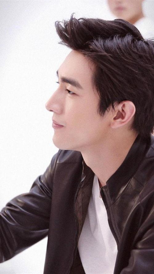 男明星大全图片大全,盘点男明星大全中的魅力瞬间