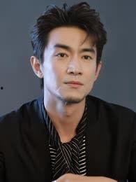 林更新个人资料,影视双栖艺人，魅力与才华并存的娱乐圈新星