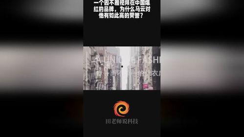 深圳网红不雅视频,网络舆论的漩涡与反思