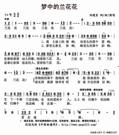 放生这首歌的创作背景,追寻心灵自由的旅程