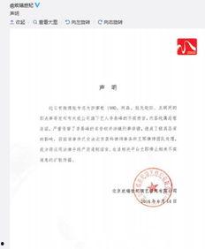 娱乐圈的声明书,揭秘明星幕后风波