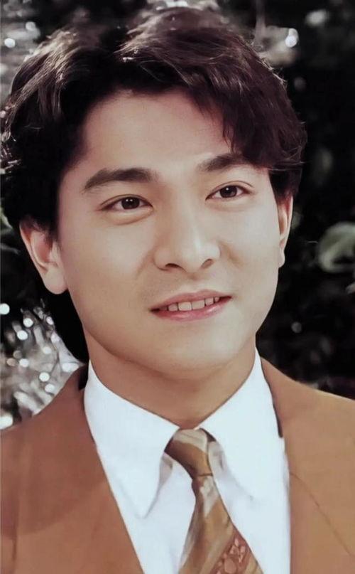 刘德华的照片大全,光影岁月中的永恒魅力